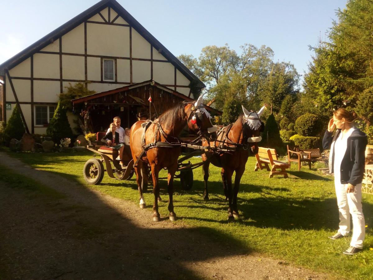 Apartamento Pensjonat Kalina Komorze Exterior foto